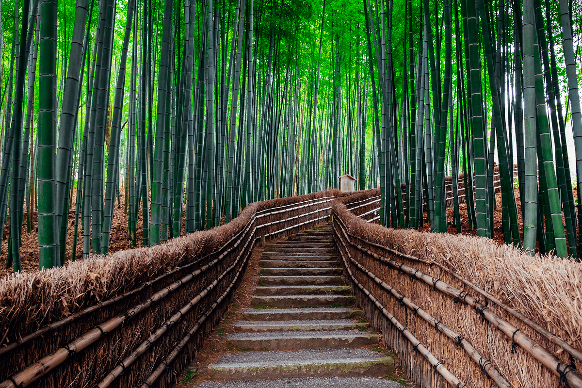 Discovering Kanasai
